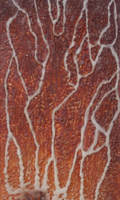 Martis Lorica I (Mars Loricifera I)