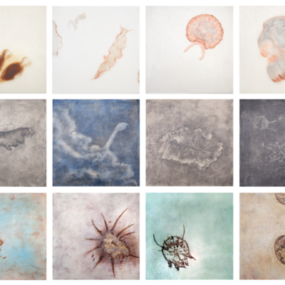 Small Specimens 12-panel painting