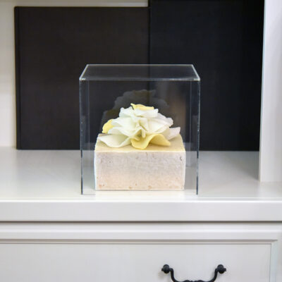 Sinularia Dura Natural and Yellow Cabbage Coral shelf view with case