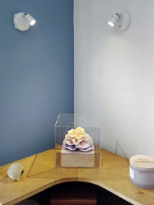 Interior view of Sunrise Cabbage Coral encaustic sculpture on a bookshelf with two side lights mounted above