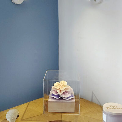 Interior view of Sunrise Cabbage Coral encaustic sculpture on a bookshelf with two side lights mounted above