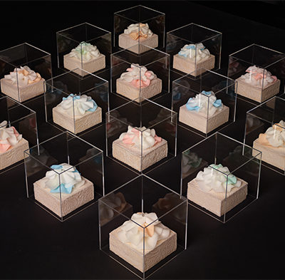 Ocean Transpectus II