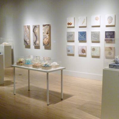 MFA Thesis Exhibition 2014 - Fed Galleries KCAD