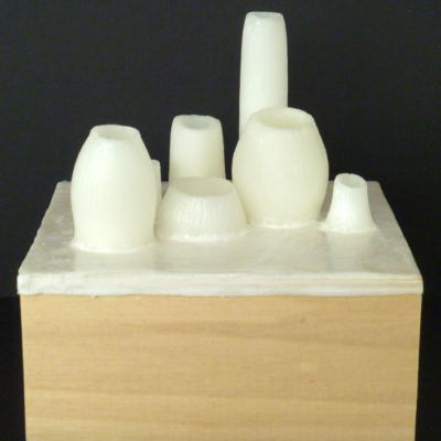 Barnicles Encaustic Sculpture Bleeched