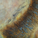 Encaustic painting texture detail