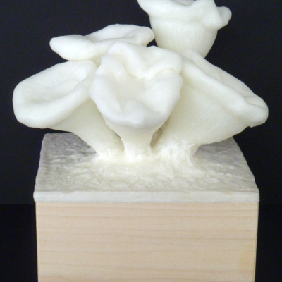 Trumpet Coral Encaustic Sculpture Bleached